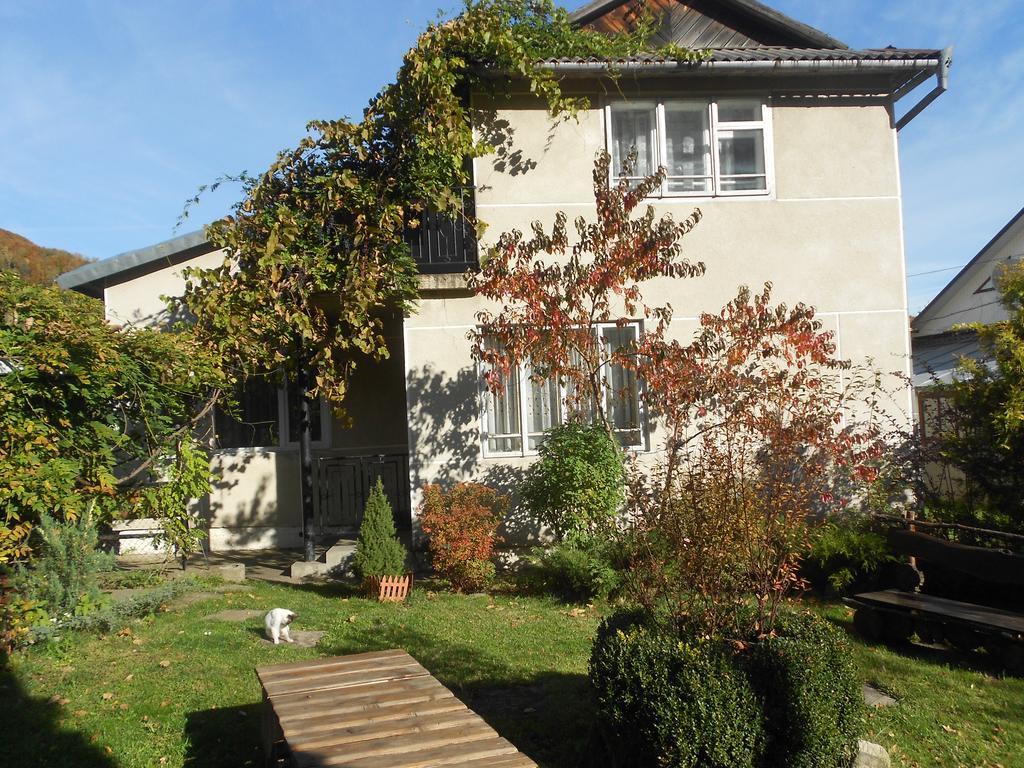 Sadyba Karpatskyi Vedmid Kossiw Exterior foto