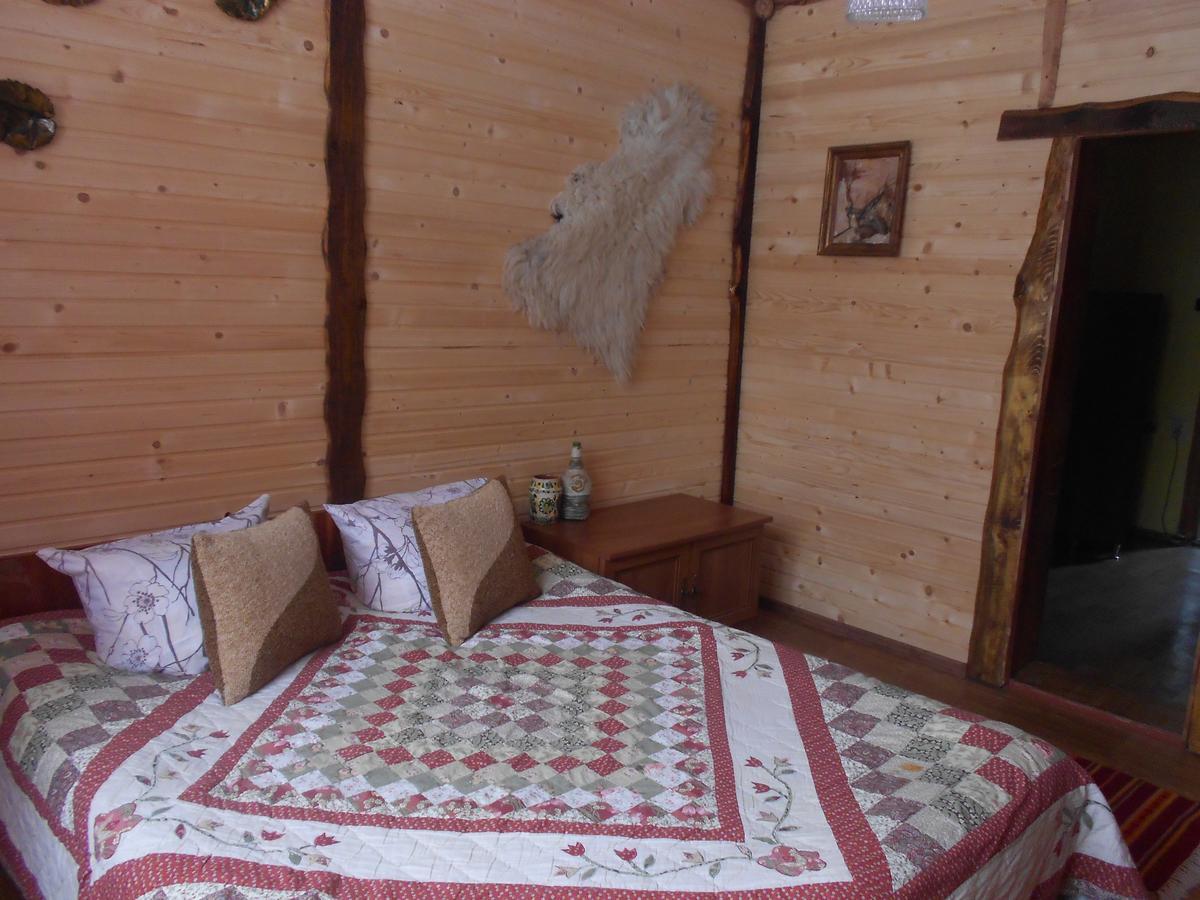 Sadyba Karpatskyi Vedmid Kossiw Exterior foto