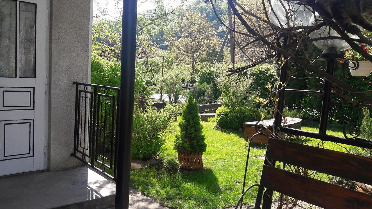 Sadyba Karpatskyi Vedmid Kossiw Exterior foto